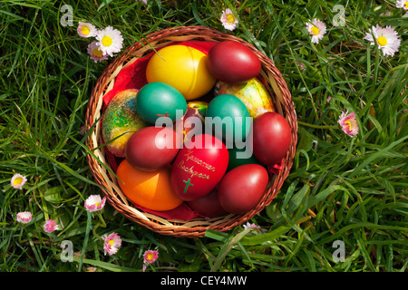 Uova di Pasqua in un contenitore, vista dall'alto, alcuni fiori di primavera intorno Foto Stock