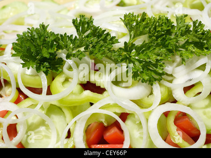 Ortaggi freschi con insalata di cetrioli, cipolla, pomodoro e prezzemolo Foto Stock