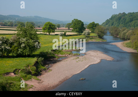 Fiume Towy dal ponte su un483 a Llandeilo Carmarthenshire Galles del Sud Foto Stock