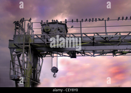 Elenco pesante Crane sopra il canale di nave di Manchester a latchford Locks, Warrington del sud, Cheshire, Inghilterra Regno Unito, WA4 Foto Stock