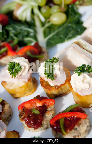 Crostini su una piastra a una funzione, panini, finger food Foto Stock
