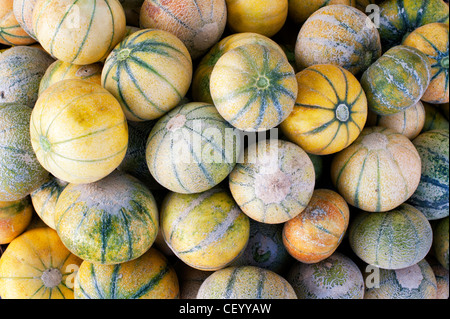 Meloni freschi per la vendita in un mercato indiano. Andhra Pradesh, India Foto Stock