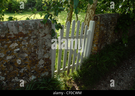 Parete di selce, Stoughton, Sussex. Foto Stock