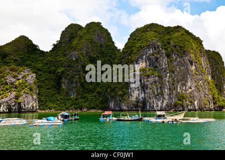 Una stazione di pesca nella parte anteriore delle pietre calcaree carsiche della baia di Halong, Vietnam Foto Stock