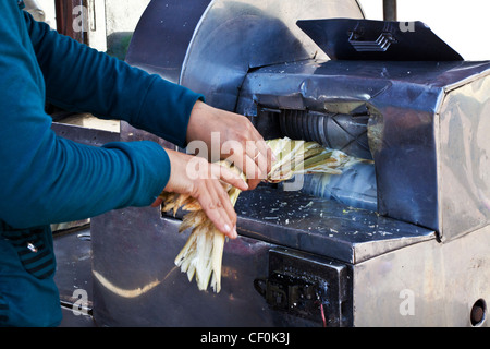 La canna da zucchero viene pressato per il suo succo in Hoi An, Vietnam Foto Stock