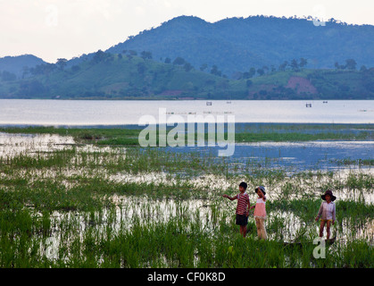 I bambini la pesca in allagato risaie accanto al lago Lak, Vietnam Foto Stock