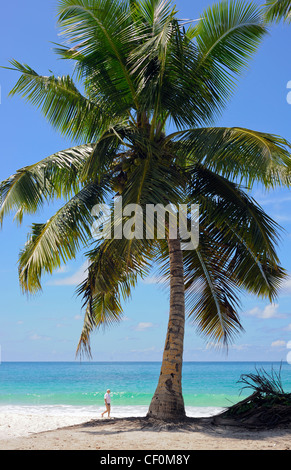 Isola di Praslin, Seychelles, paradisiache Anse Lazio beach Foto Stock