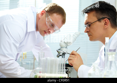 Scienziato guardando il campione mentre il suo assistente aiutandolo Foto Stock