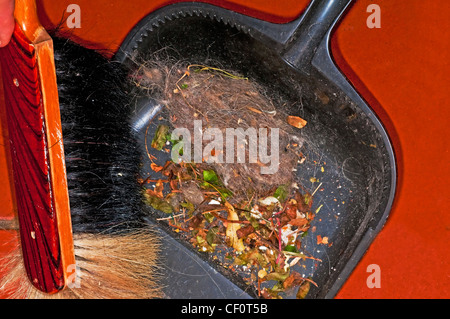 Spazzola con pala Foto Stock