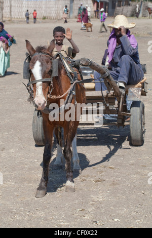 Cavalli domestici (Equus ferus). Tirando la gomma gonfiabile stanco carrello. Giorno di mercato, Wendogenet. Etiopia. Foto Stock