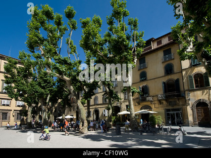 Piazza Napoleone, Lucca, Italia Foto Stock