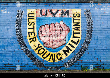 Ulster giovani militanti murale in East Belfast Foto Stock