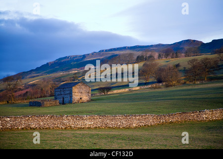 Stone confini campo e bovini fienili di storage a Thornton ruggine Hard Gill, Wensleydale, North Yorkshire Dales, Richmondshire, REGNO UNITO Foto Stock