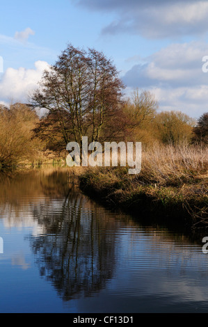 Piccolo fiume Ouse vicino a Brandon, Suffolk, Inghilterra, Regno Unito Foto Stock