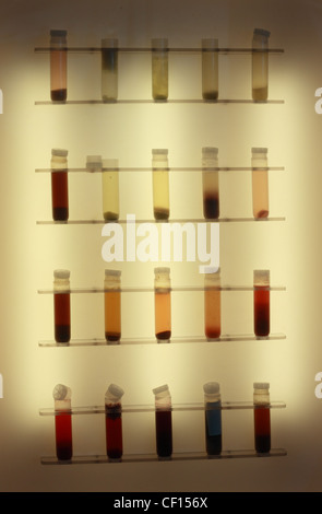 Un colpo di provette riempite con liquidi di vari colori allineate su scaffalature in legno e illuminato da dietro. Foto Stock