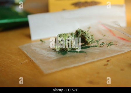 Girato a colori di un bocciolo di marijuana su una plastica baggie blasonate con una foglia di marijuana di fronte a varie paraphernalia fumatori Foto Stock