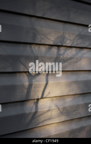 Nel tardo pomeriggio le ombre ad albero sul lato della casa Foto Stock