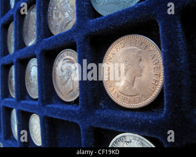 Una sezione di una moneta britannica di raccolta in un vassoio con un Queen Elizabeth giovane capo farthing in primo piano. Foto Stock