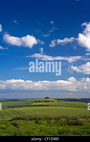 Vista attraverso il North Wessex Downs verso Woodborough Hill nel mezzo di Pewsey Vale. Foto Stock