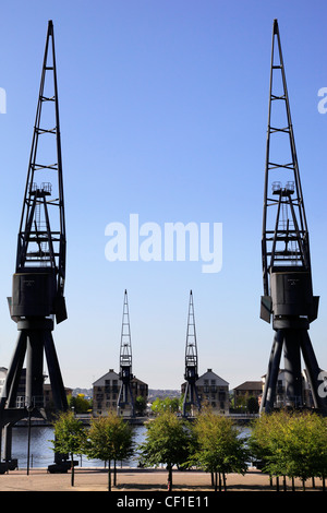 Gru abbandonati a presentarsi come un promemoria del passato al Royal Victoria Dock in raggiunge la Dockland area di Londra 5. Foto Stock