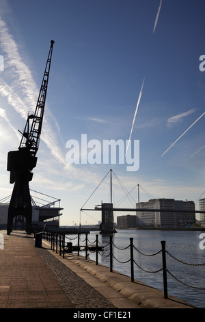 Gru abbandonati a presentarsi come un promemoria del passato al Royal Victoria Dock in raggiunge la Dockland area di Londra 3. Foto Stock