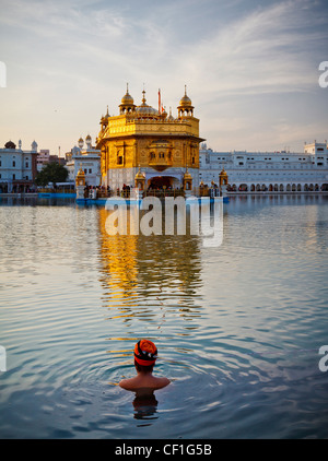 Un Sikh testa di uomo con turbante prende un bagno in piscina che circonda il tempio d'oro di Amritsar Punjab, India Foto Stock