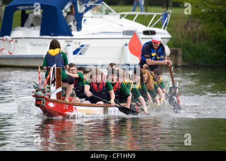 Dragon Boat racing al fondo annuale evento di sollevamento sul Fiume Tamigi a Abingdon 9. Foto Stock