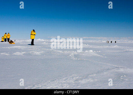 riscaldamento globale Foto Stock