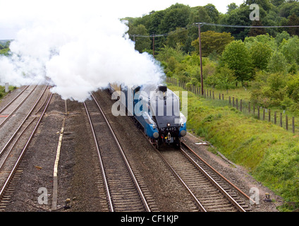 Un LNER4 Class 4-6-2 n. 4492 Dominion della Nuova Zelanda in basso a Basildon, Berkshire REGNO UNITO con il Bristol legato cattedrali Express su Foto Stock