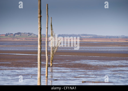 Il marcatore di picchetti che indica il percorso alternativo di Isola Santa attraverso le sabbie di marea. Il percorso è accessibile solo con la bassa marea Foto Stock