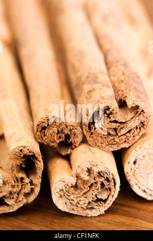 Bastoncini di cannella, Cinnamomum verum Foto Stock