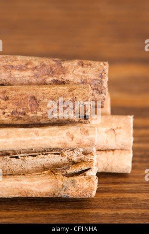 Bastoncini di cannella, Cinnamomum verum Foto Stock