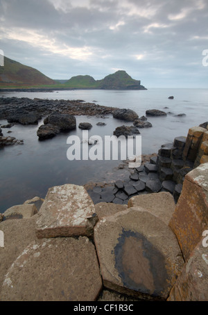 Ad incastro le colonne di basalto dei Giganti Causeway, denominato la quarta meraviglia naturale NEL REGNO UNITO, nella contea di Antrim. Foto Stock