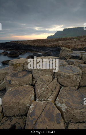 Ad incastro le colonne di basalto dei Giganti Causeway, denominato la quarta meraviglia naturale NEL REGNO UNITO, nella contea di Antrim. Foto Stock