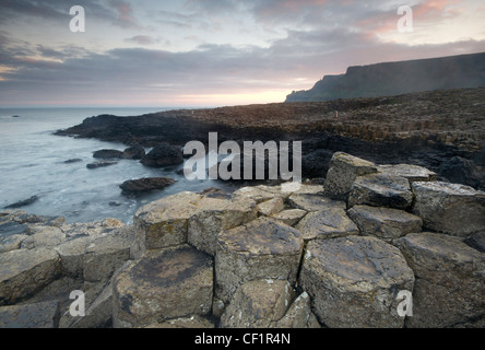 Ad incastro le colonne di basalto dei Giganti Causeway, denominato la quarta meraviglia naturale NEL REGNO UNITO, nella contea di Antrim. Foto Stock