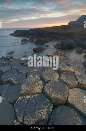 Ad incastro le colonne di basalto dei Giganti Causeway, denominato la quarta meraviglia naturale NEL REGNO UNITO, nella contea di Antrim. Foto Stock