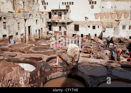 La gente al lavoro in cuoio Chouwara Conceria di Fez, Marocco Foto Stock