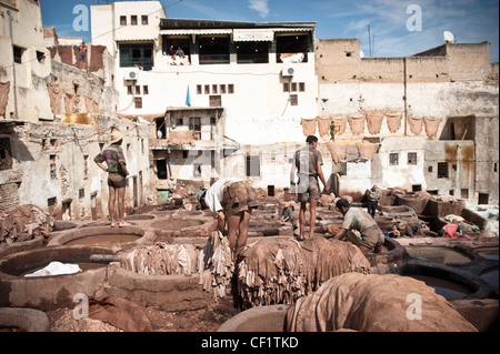 La gente al lavoro in cuoio Chouwara Conceria di Fez, Marocco Foto Stock