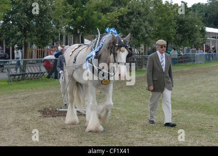 Un carrello essendo a cavallo sfilavano in un concorso presso la contea del Kent Show. Foto Stock