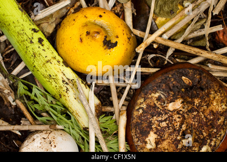 Close-up di marciume materiale vegetale in un palo di composto Foto Stock