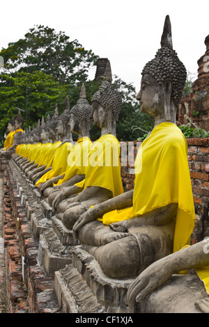 Fila di sacre immagini di Buddha in Ayutthaya, Thailandia Foto Stock