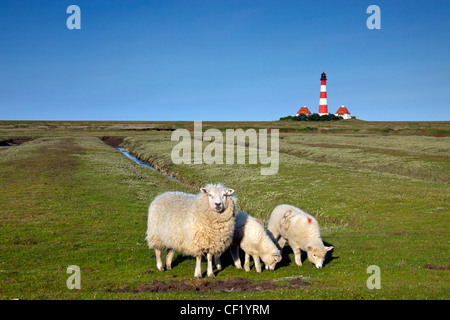 Pecora con agnello e il faro di Westerheversand Westerhever sulla penisola di Eiderstedt, Germania Foto Stock