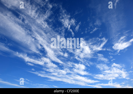 Wispy bianche nuvole nel cielo di estate blu Foto Stock