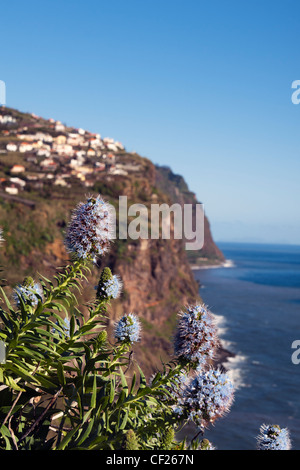 Madeira costa Sud Foto Stock