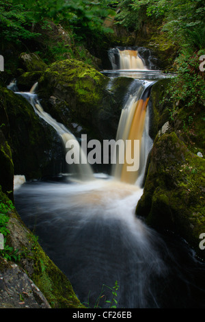 Il che scorre veloce Pecca twin falls in esecuzione attraverso boschi vicino Ingleton. Foto Stock