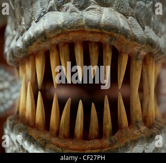 Tyrannosaurus rex denti closeup Foto Stock