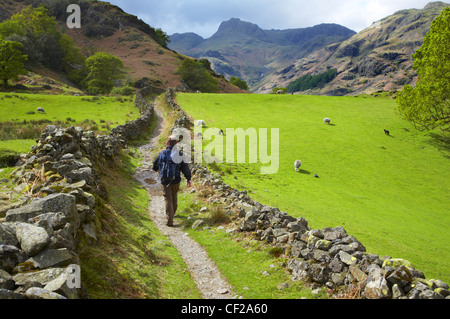 Parco Nazionale del Distretto dei Laghi. Un escursionista a piedi lungo la Cumbria modo vicina Cappella Stile, dirigendosi verso Dungeon Ghyll e Lang Foto Stock