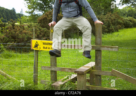 La Cumbria modo. Un escursionista che fugge da un toro da saltando su un stile sul ultimo giorno della Cumbria via via da Caldbeck per Foto Stock