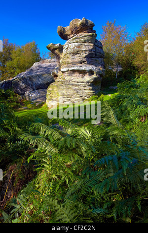 La Danza di sostenere la formazione di roccia a Brimham Rocks, uno dei molti strani erosa a forma di graniglia di macina scogli su Brimham Moor. Foto Stock