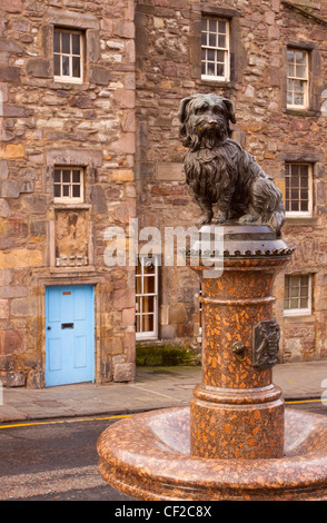 Statua di Greyfriars Bobby, il famoso fedele Skye Terrier che giacciono sulla tomba del suo Maestro Giovanni grigio per 14 anni dopo il suo de Foto Stock